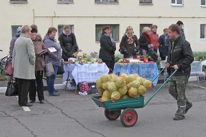 jarmarka3