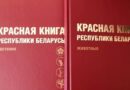 В Красную книгу Беларуси добавлены 13 видов животных и 5 видов растений